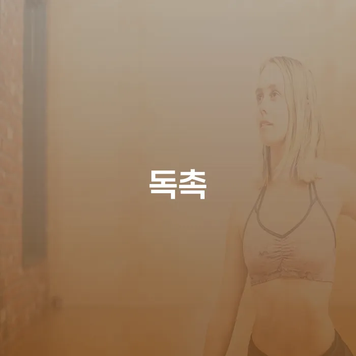 파산신청변호사 빚갚는 방법 중요 포인트