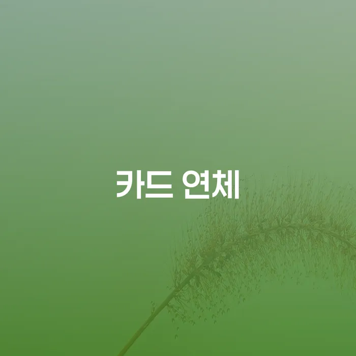 부부파산 채무조정제도을 이용하여 노하우