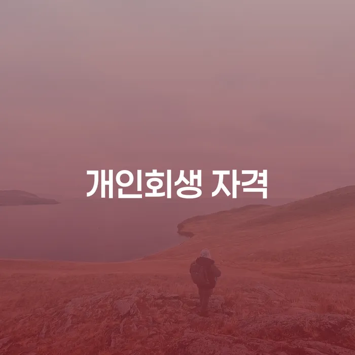 면책확인의소 개인회생 제도 적정한