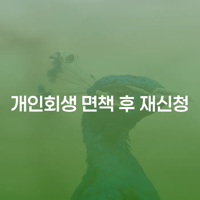 성북구 독촉 개인회생 하여야 하는 일