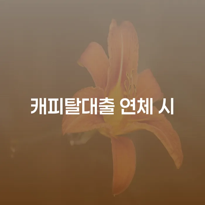 성동구 개인파산면책 개인회생 문제해결방법 중요정보
