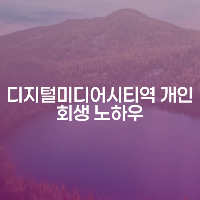 디지털미디어시티역 개인회생 노하우