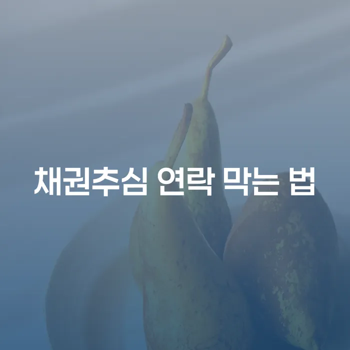 채권추심 연락을 막는 법, 개인회생과 파산으로 해결할 수 있을까요?