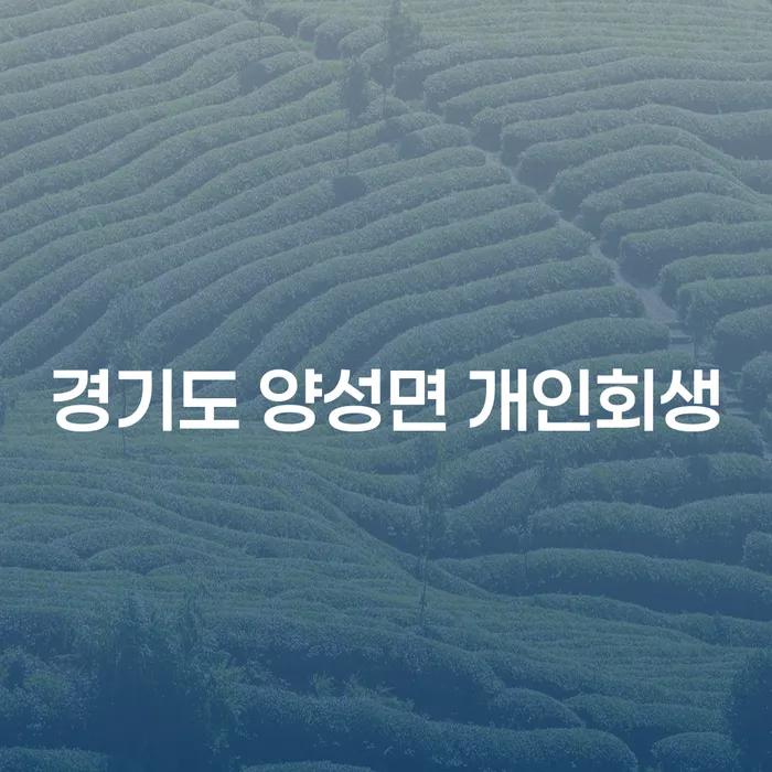 경기도 양성면에서 개인회생을 어떻게 신청할 수 있을까요?