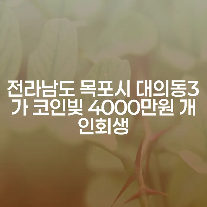 전라남도 목포시 대의동3가의 코인빚 4000만원, 개인회생으로 해결할 수 있을까요?