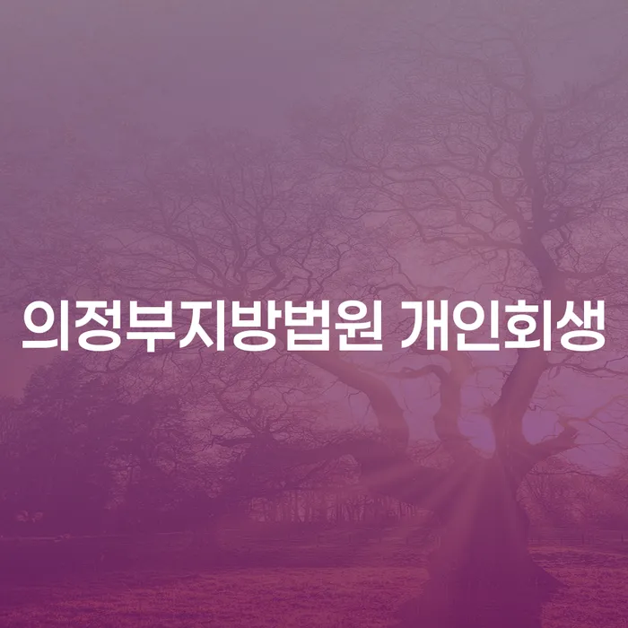 의정부지방법원 개인회생 신청, 용인시 수지구 도산전문변호사의 도움으로 가능할까요?