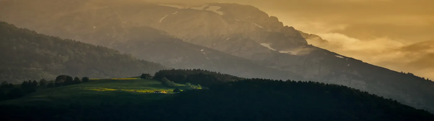 법무법인 서앤율