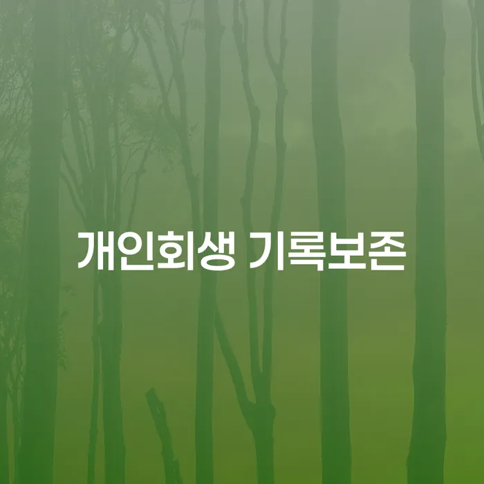 개인회생 기록보존은 어떻게 이루어지나요?