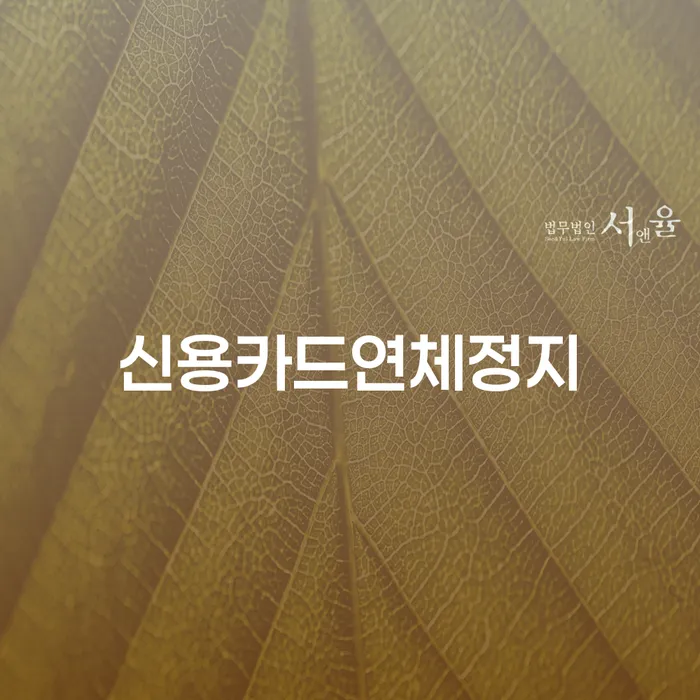 신용카드 연체, 어떻게 정지할 수 있을까요?